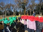 ６年１２月１９日自然観察園 (1).JPG