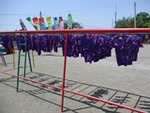 ７年５月２０日 (19).JPG