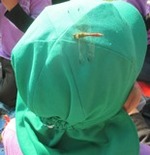 ７年１１月８日 (37).JPG